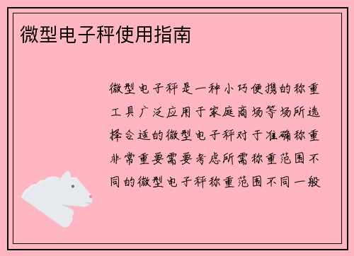微型电子秤使用指南